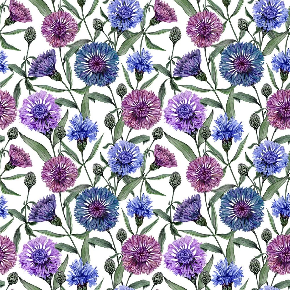 Centaurea Flowers with Leaves Fabric - White