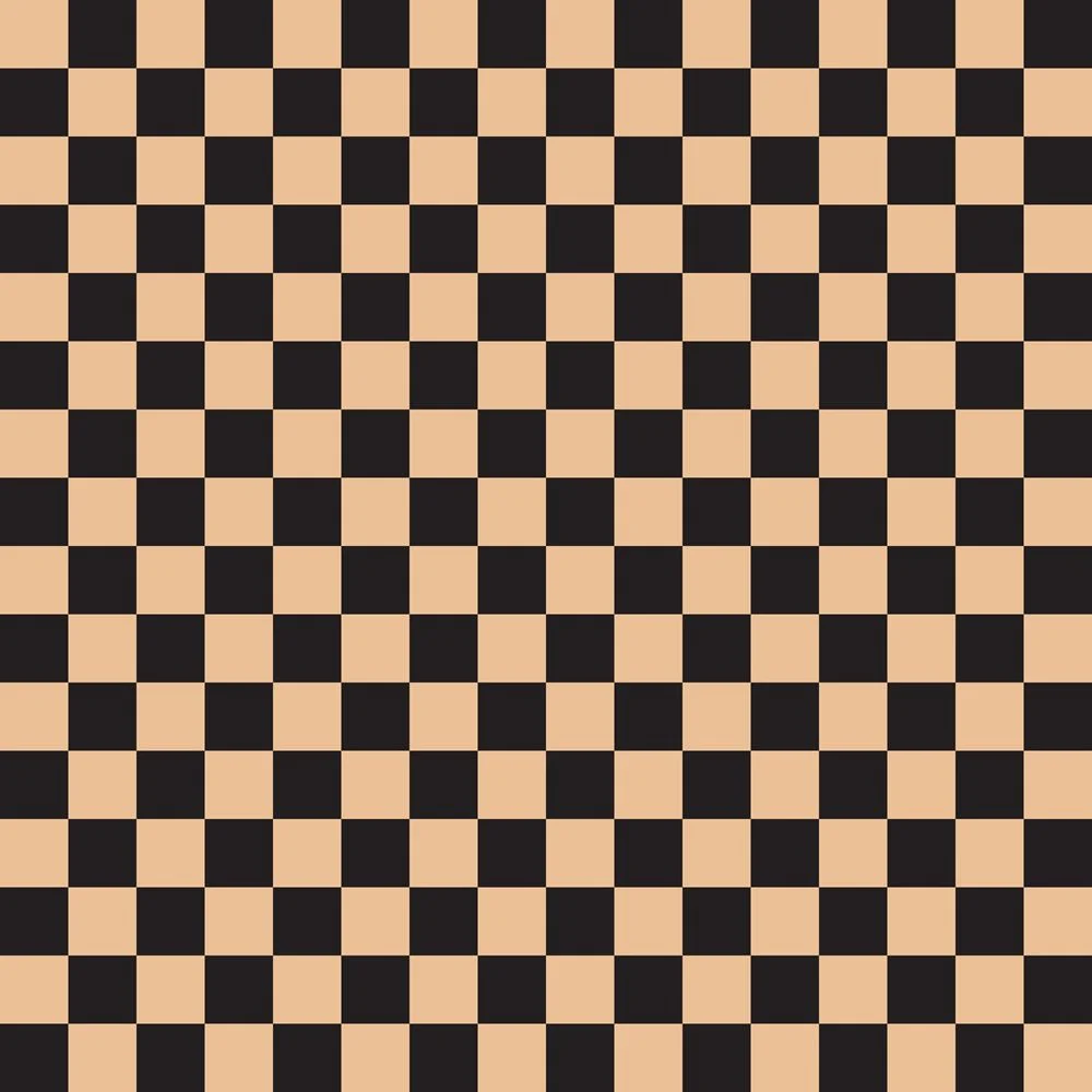 Checkered Basics Fabric - Tacao on Black