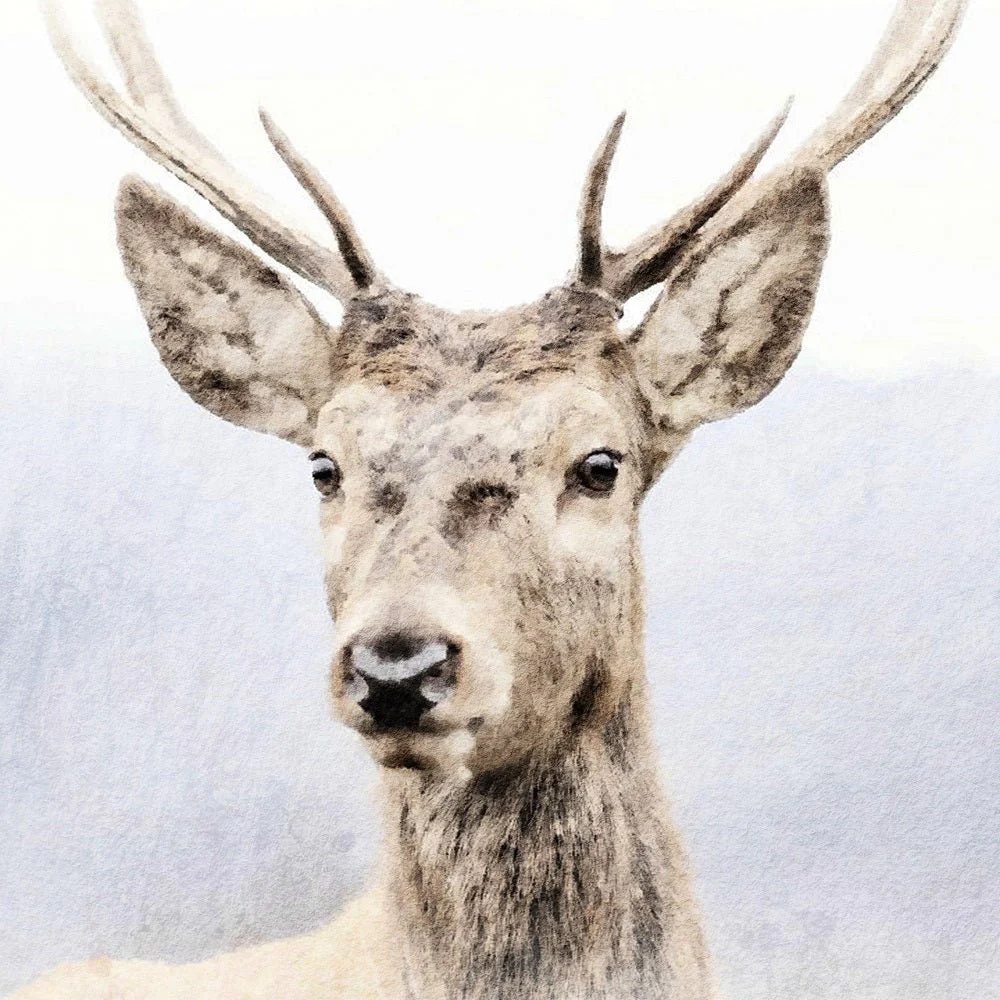 Faded Deer Portraits #4 Fabric Panel