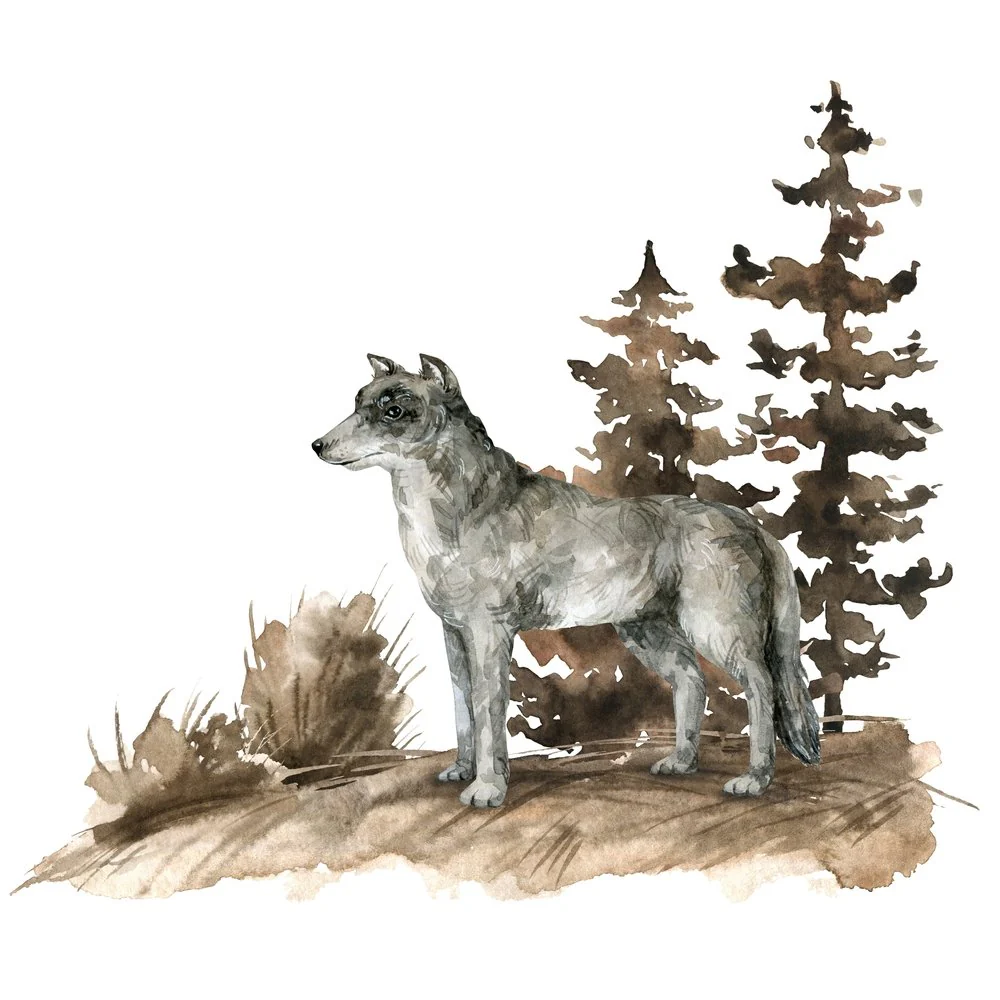 Grey Wolf In The Wild Fabric Panel