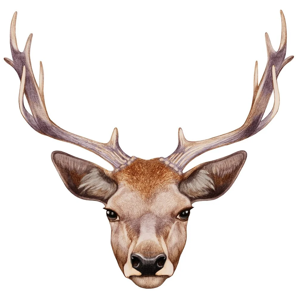 Hand Drawn Deer Portrait Fabric Panel - Brown