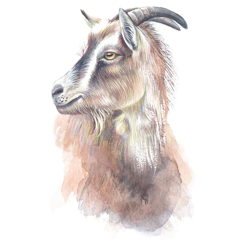 Hand Drawn Goat with Horns Fabric Panel