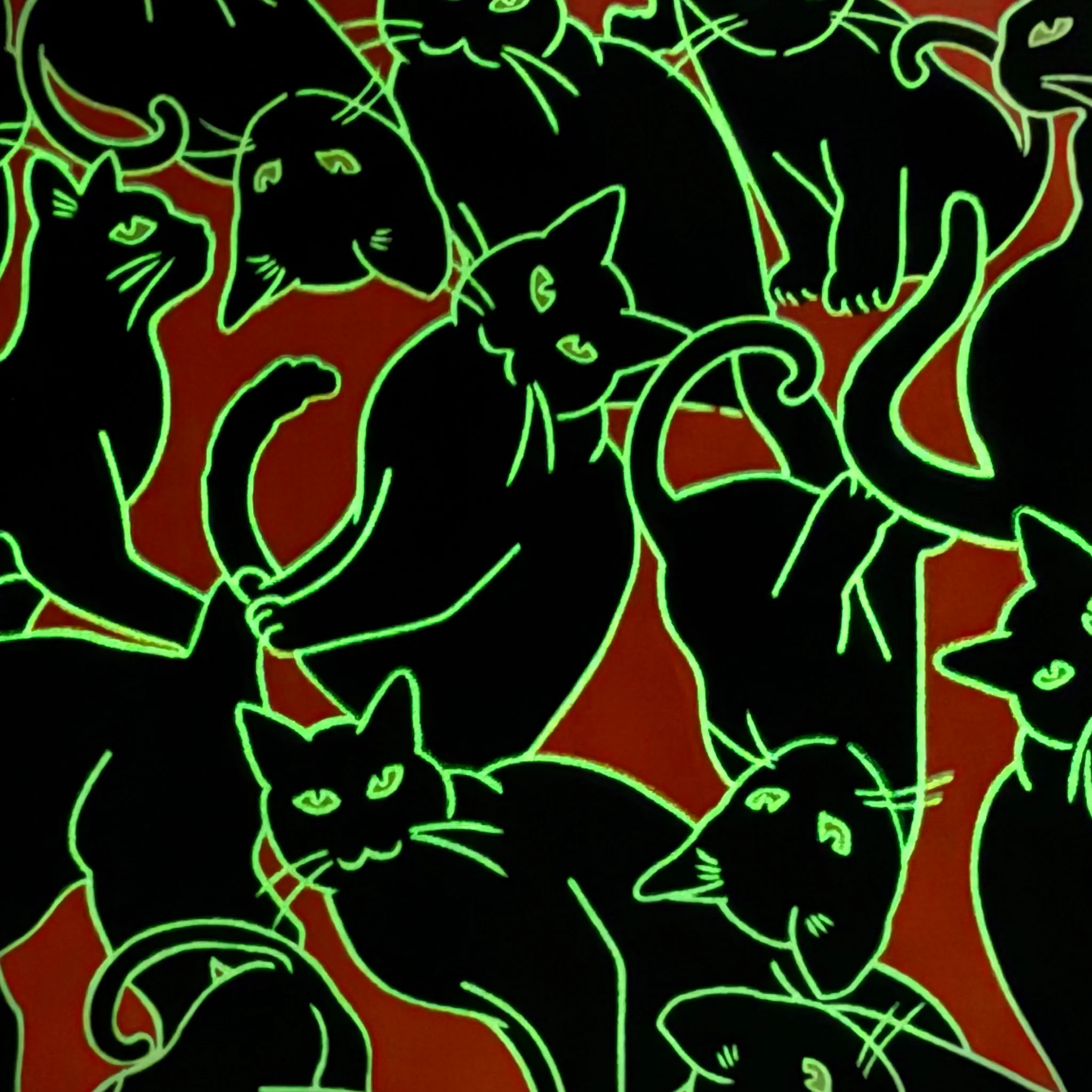 Happy Hauntings Fabric Collection - Cat Magic Orange - Image 6
