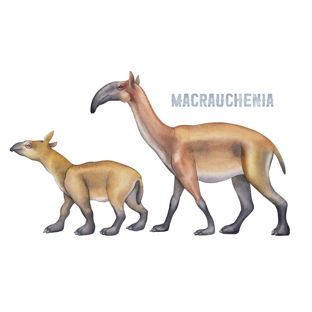 Ice Age Macrauchenias Fabric Panel