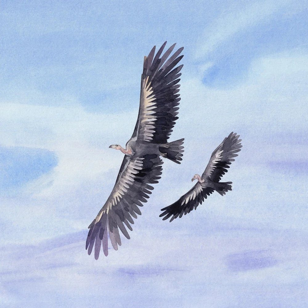 Ice Age Teratorns Flying Fabric Panel