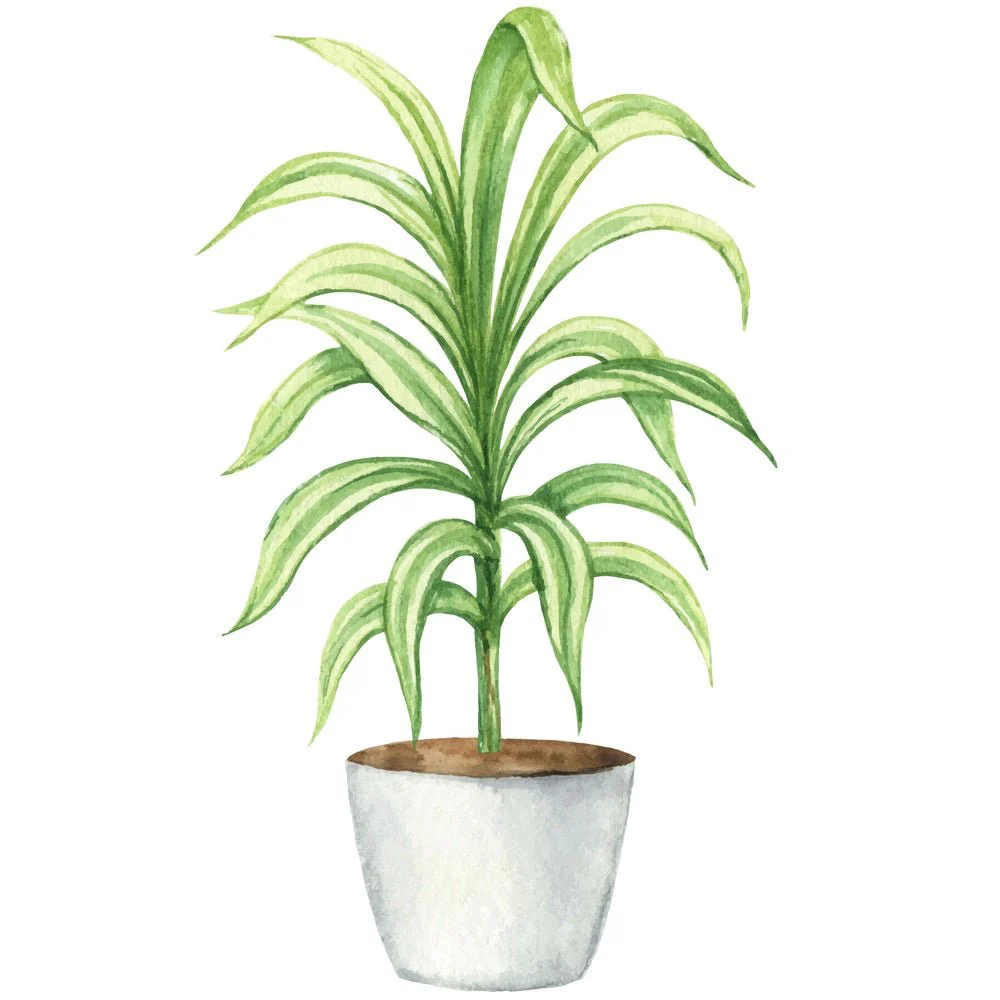Indoor Green Plants Dracaena Fabric Panel
