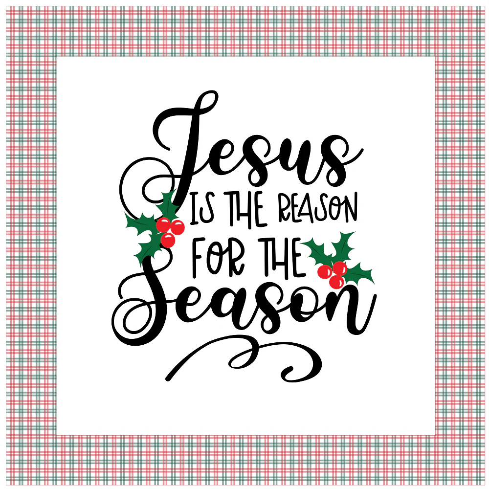Jesus Is The Reason Pillow Fabric Panels