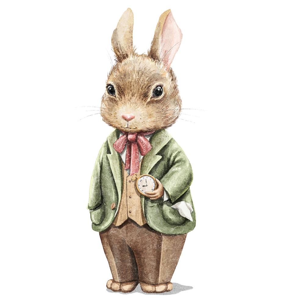 Little Critters Rabbit with Watch Fabric Panel