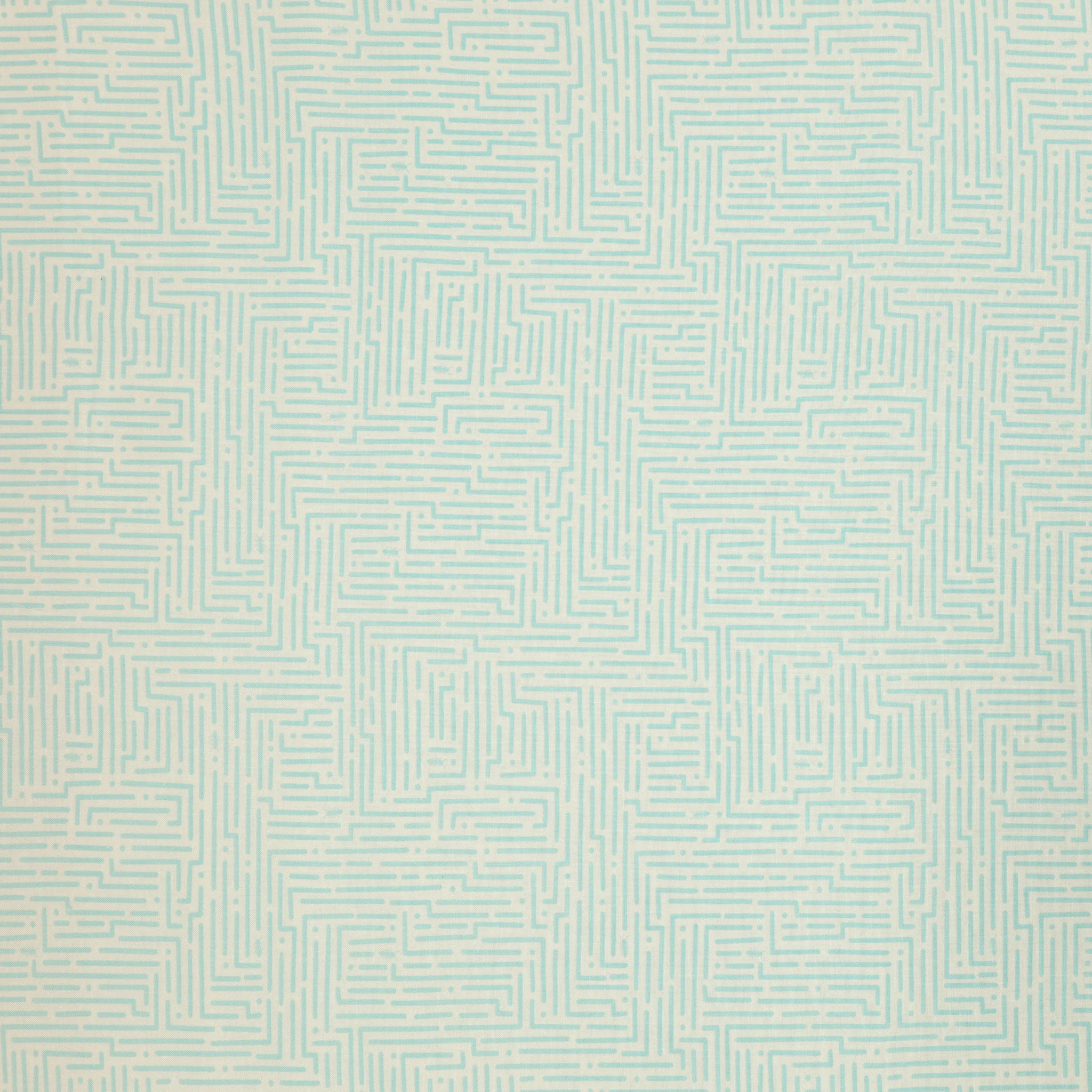 Lucky Bugs Fabric Collection - Mazing Sky/White