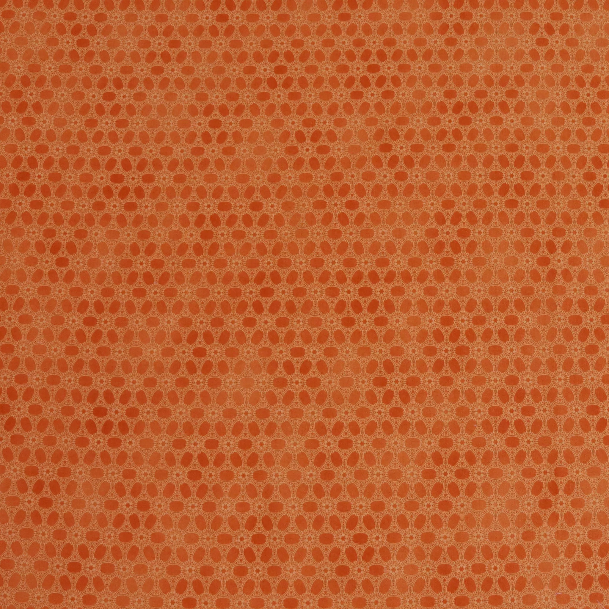 Newer Worlds Eden Fabric Collection - Persimmon