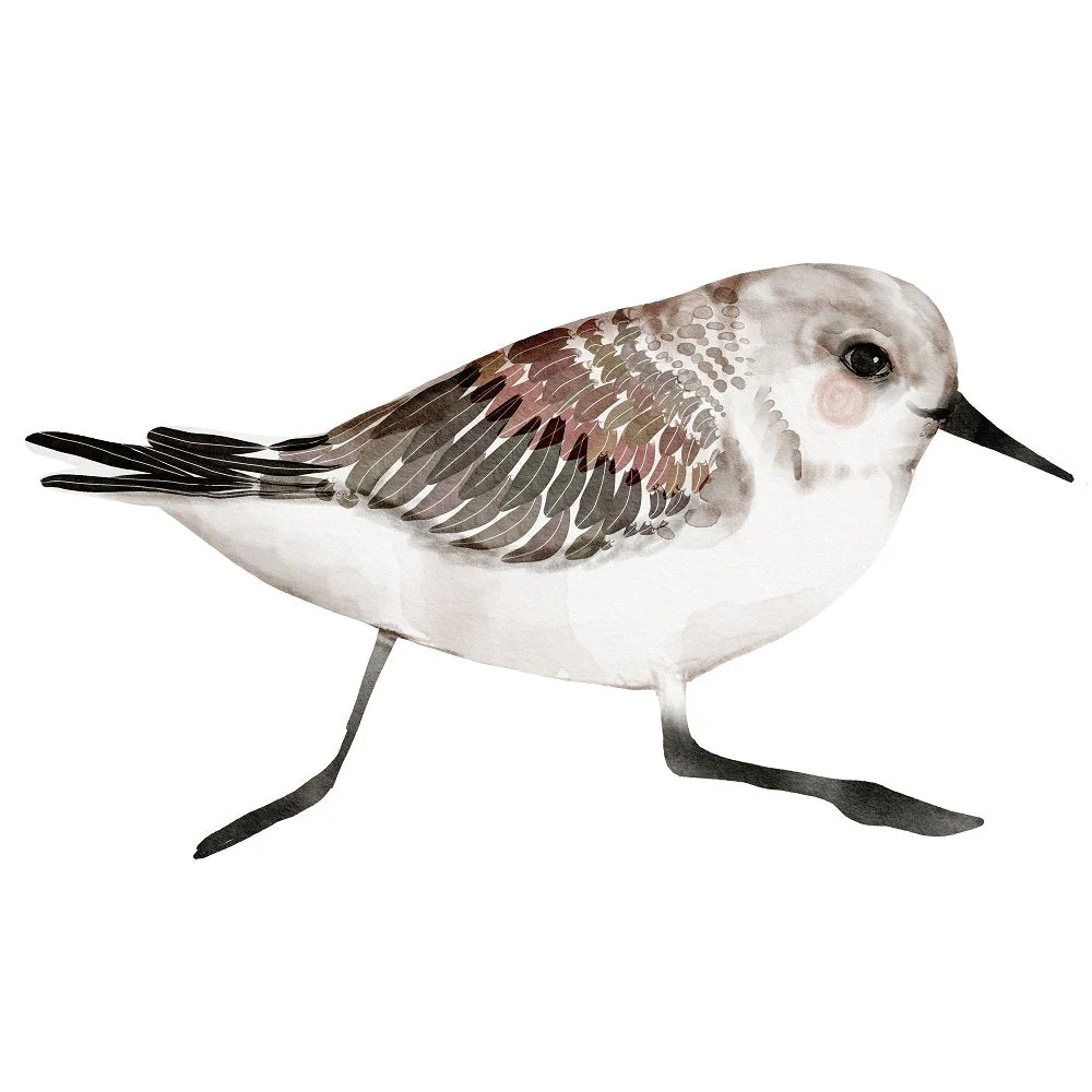 Northern Woods Bird #1 Fabric Panel