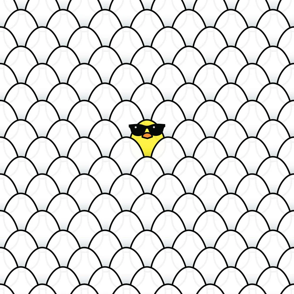 Packed Chickens and Eggs Fabric - White