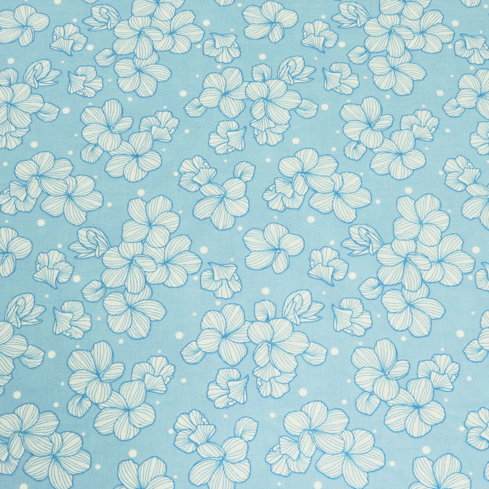 Paradise Park Fabric Collection - Playground Sky