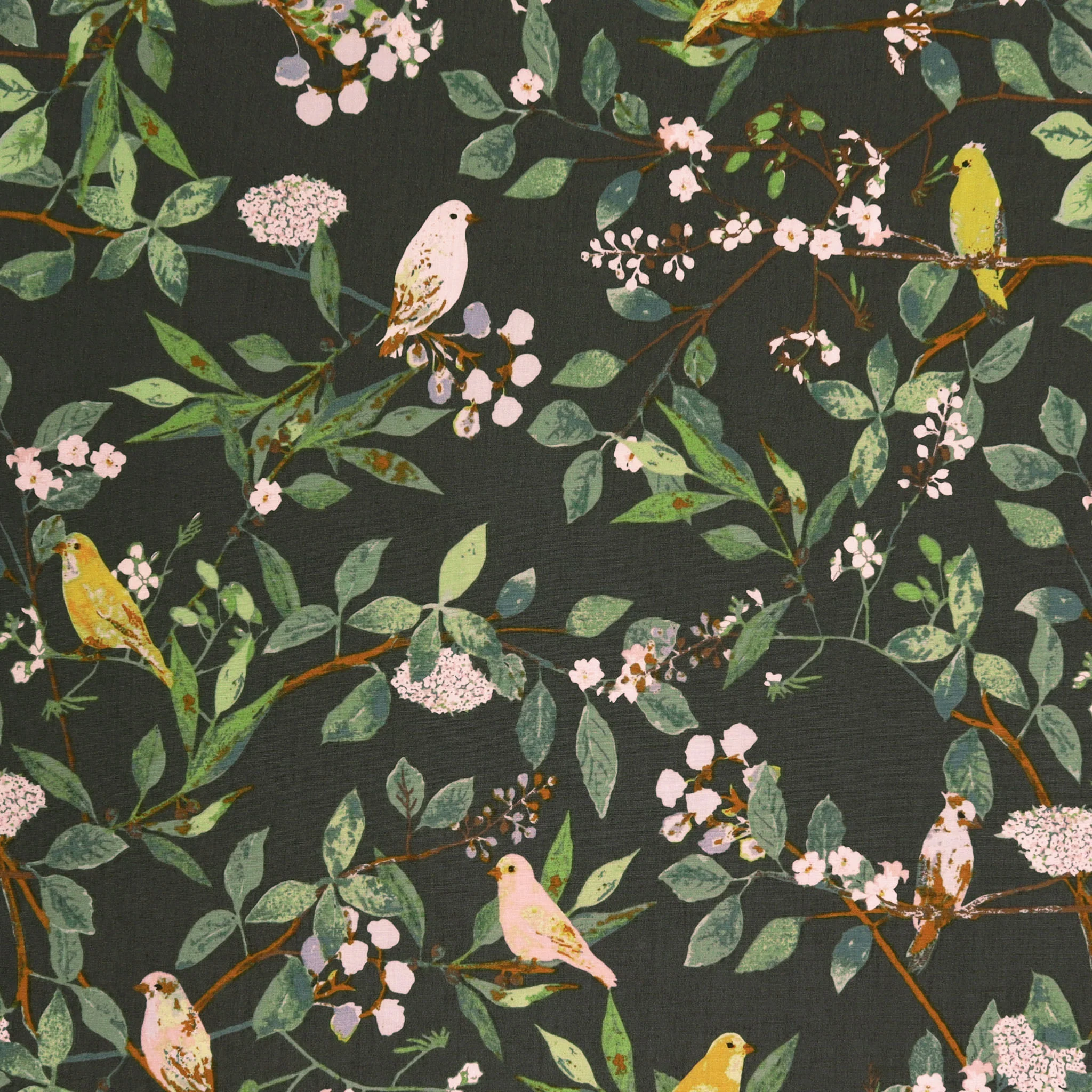 Plentiful Fabric Collection - Melodic Plumage Night