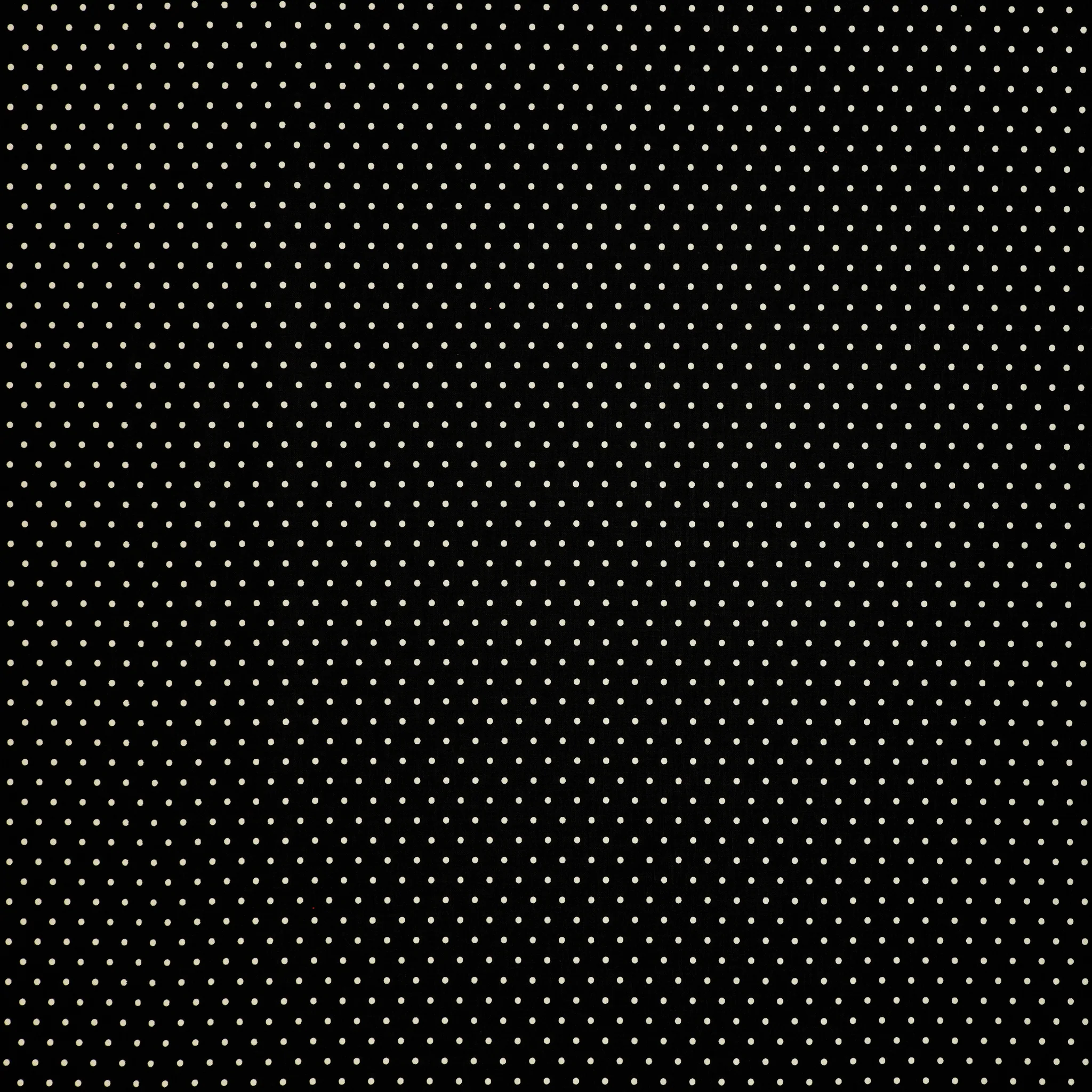 Prairie Chicks Fabric Collection - Dot Black/Cream