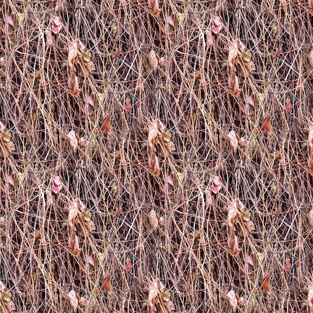 Realistic Grape Vine & Leaves Fabric