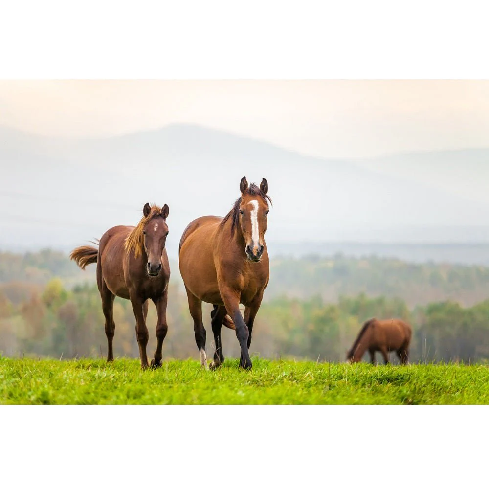 Realistic Mare & Foal in a Meadow Fabric Panel