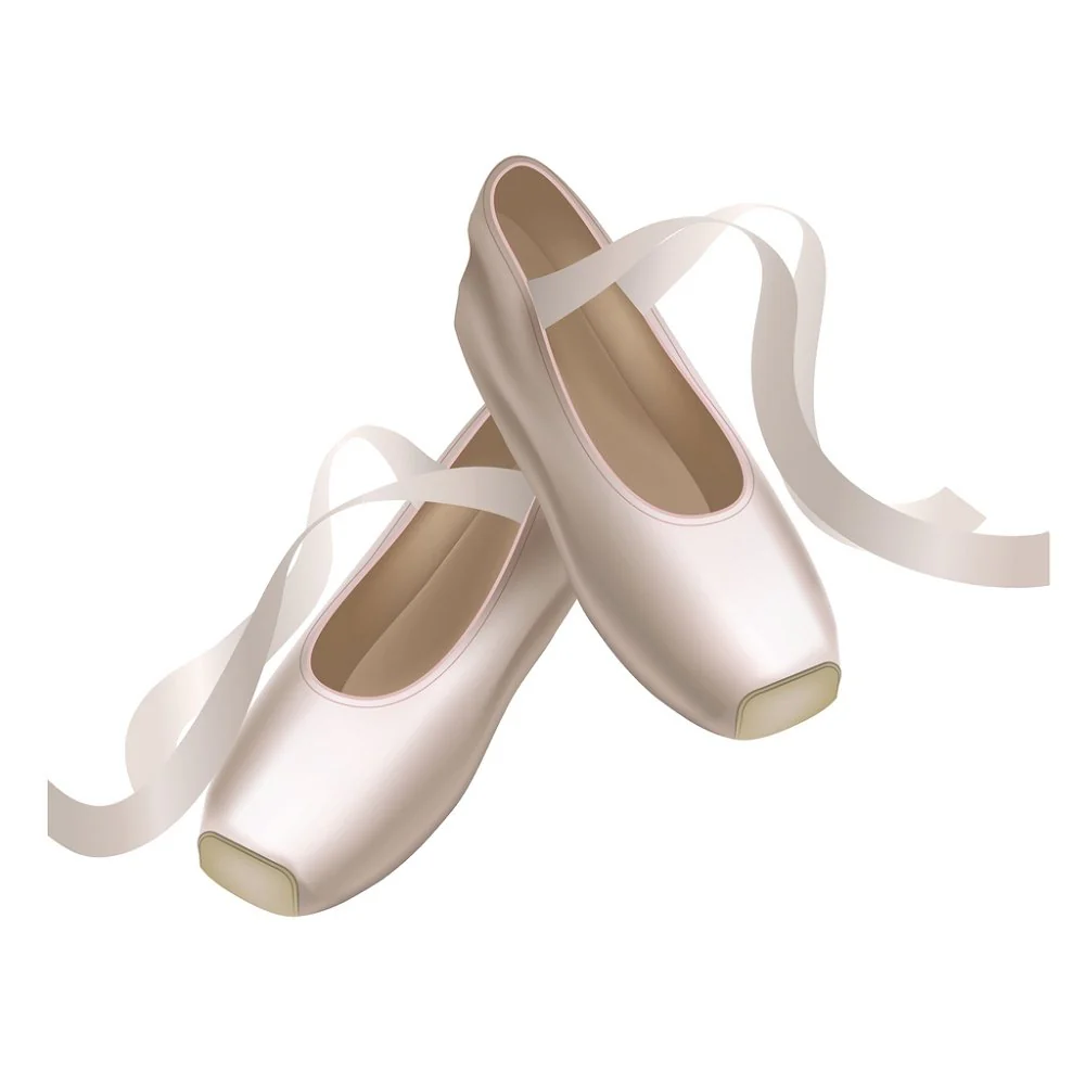 Realistic Point Shoes Fabric Panel