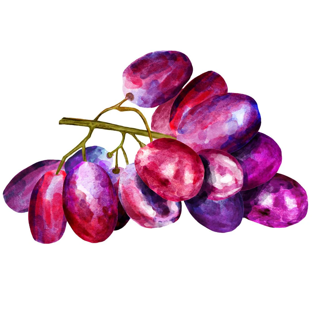 Rose and Wine Red Grapes Fabric Panel