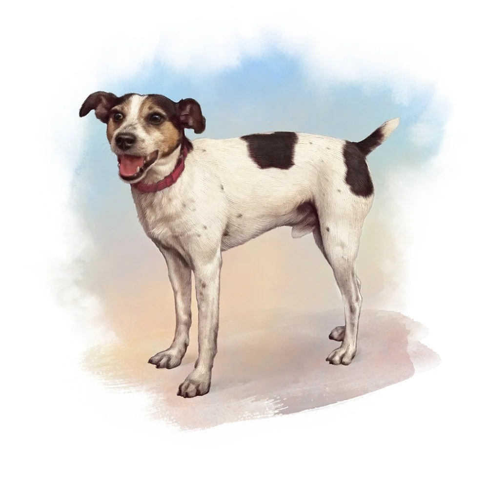 Short Haired Terrier Portrait Fabric Panel