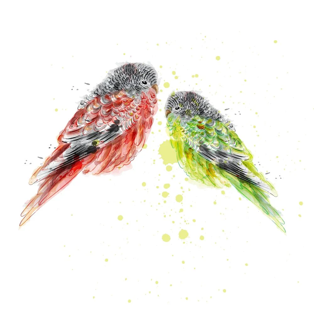 Small Colorful Birds Fabric Panel