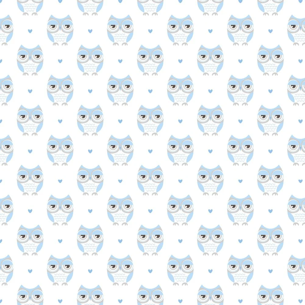Soft Cartoon Owl Fabric - Light Blue