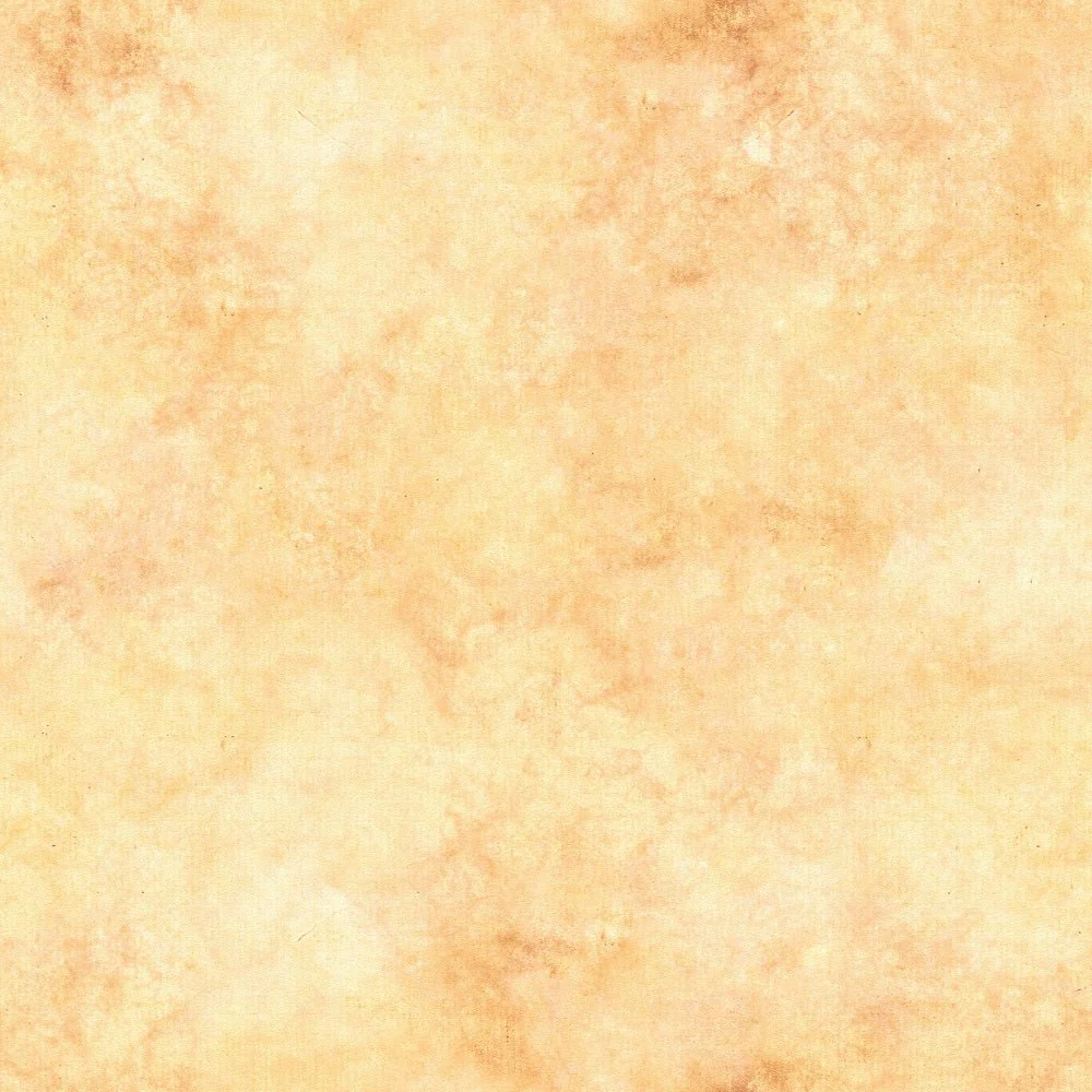 Summer Charm 19 Blender Fabric - Orange