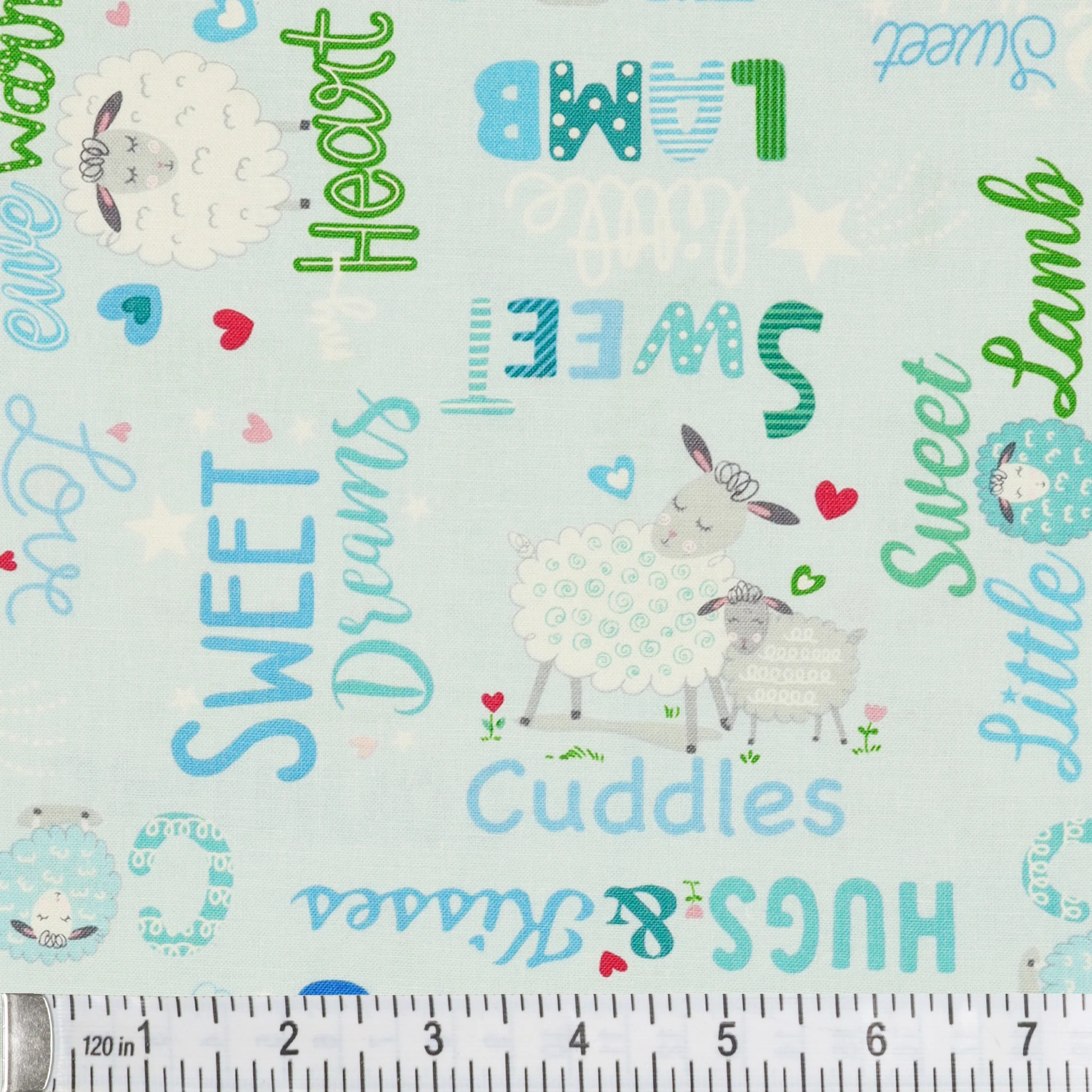 Sweet Little Lamb Fabric Collection - Sweet & Cozy Words Sky Blue - Image 3