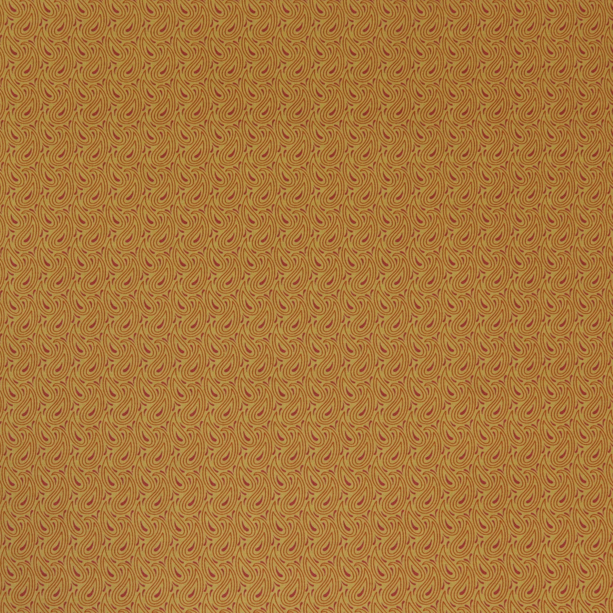 Transparency Watercolors Fabric Collection - Paisley Mango