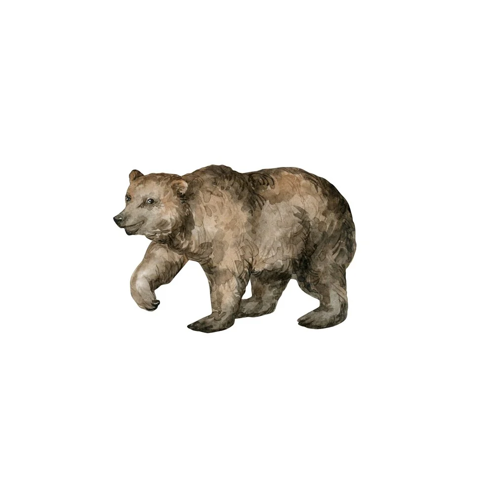 Watercolor Brown Bear Fabric Panel